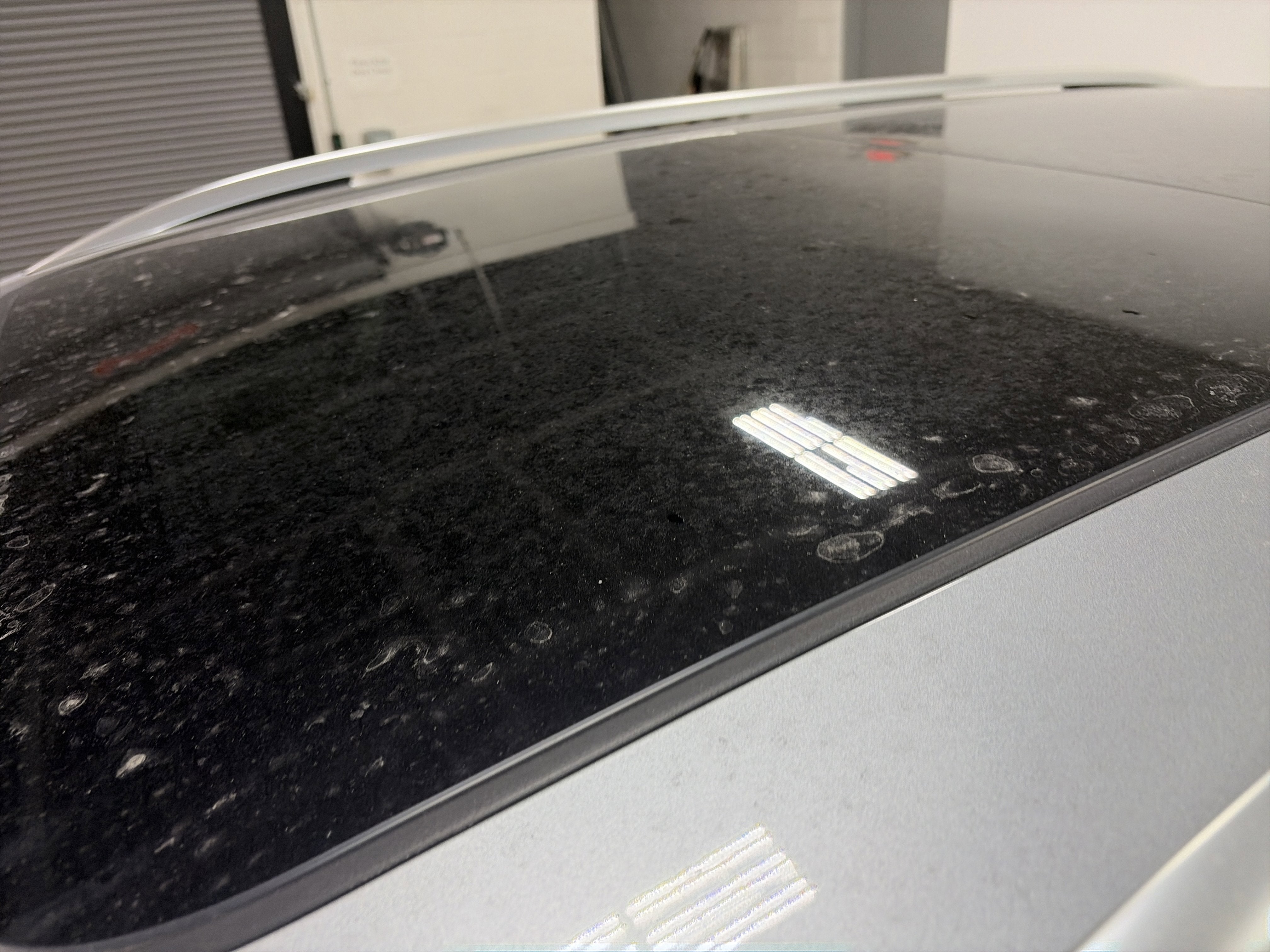 2025 Volkswagen Tiguan SE