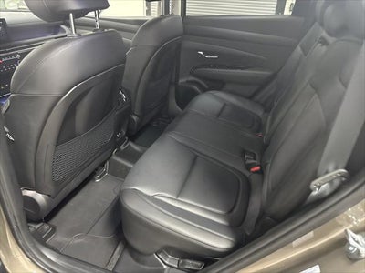 2025 Hyundai Tucson Hybrid Limited