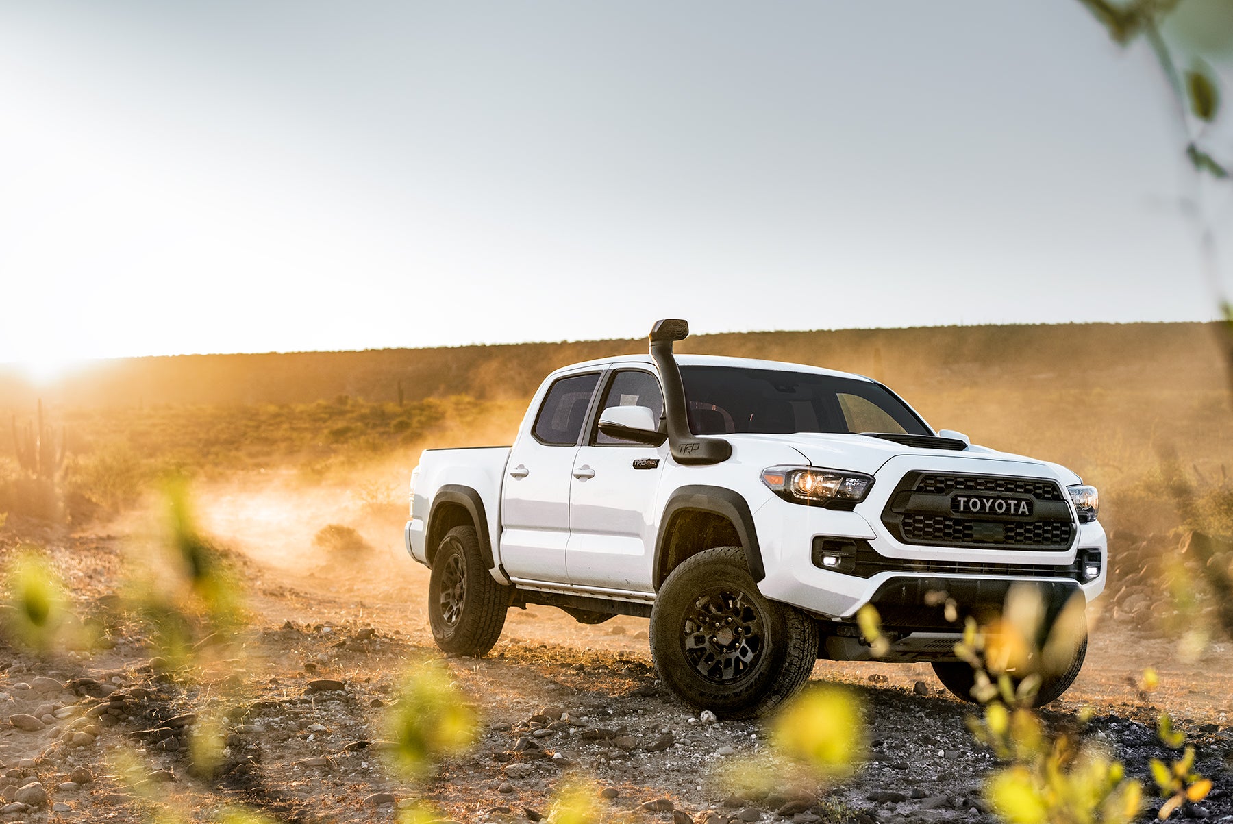 Comparison of the Toyota Tacoma vs. Tundra trucks at Fiore Toyota of Hollidaysburg | White Toyota Tacoma parked on road 