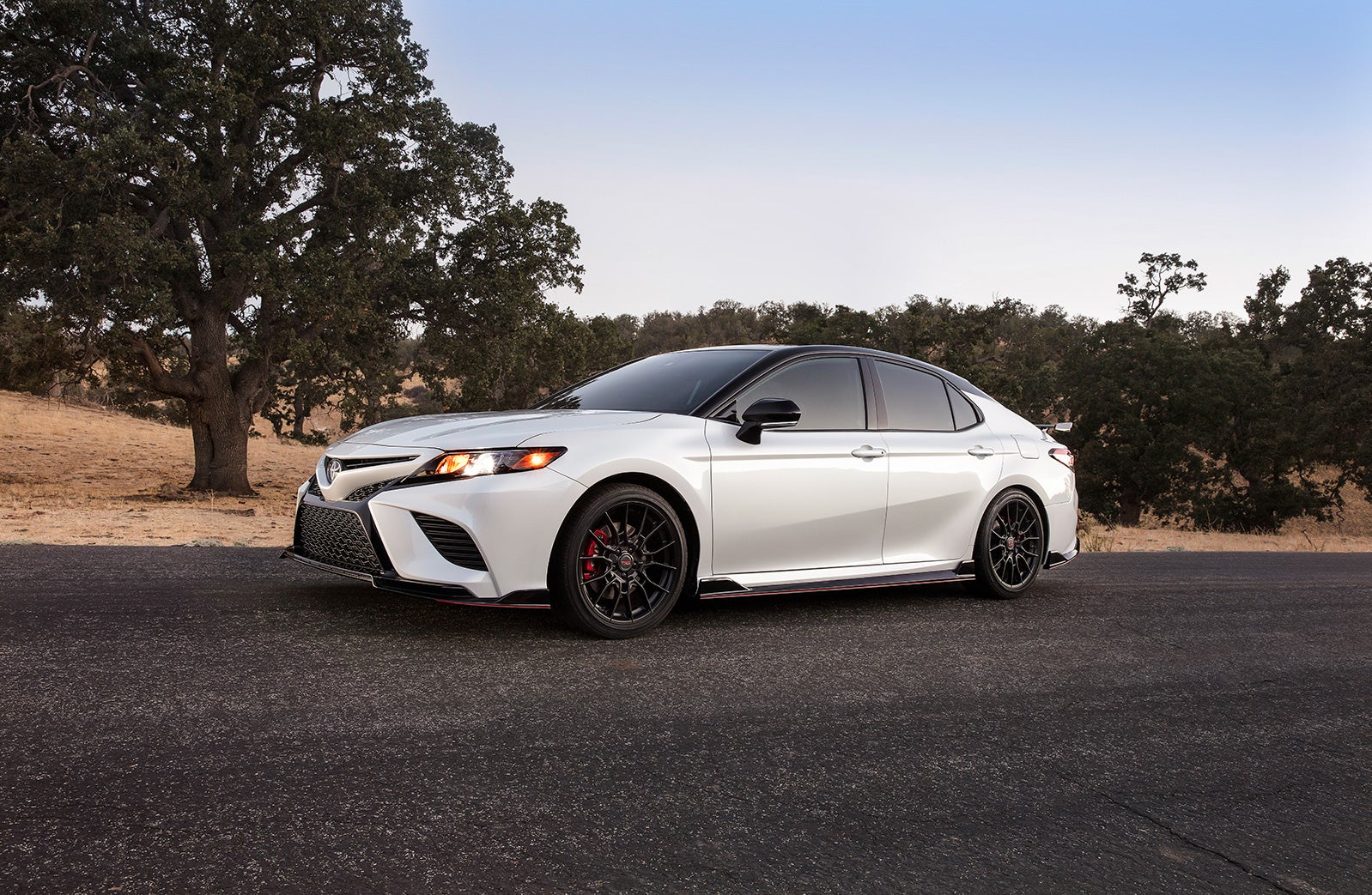 2020 Toyota Camry versus 2020 Honda Accord Comparison at Fiore Toyota | White 2020 Camry parked on road